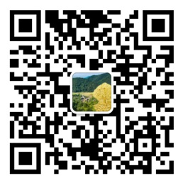 网信购彩welcome